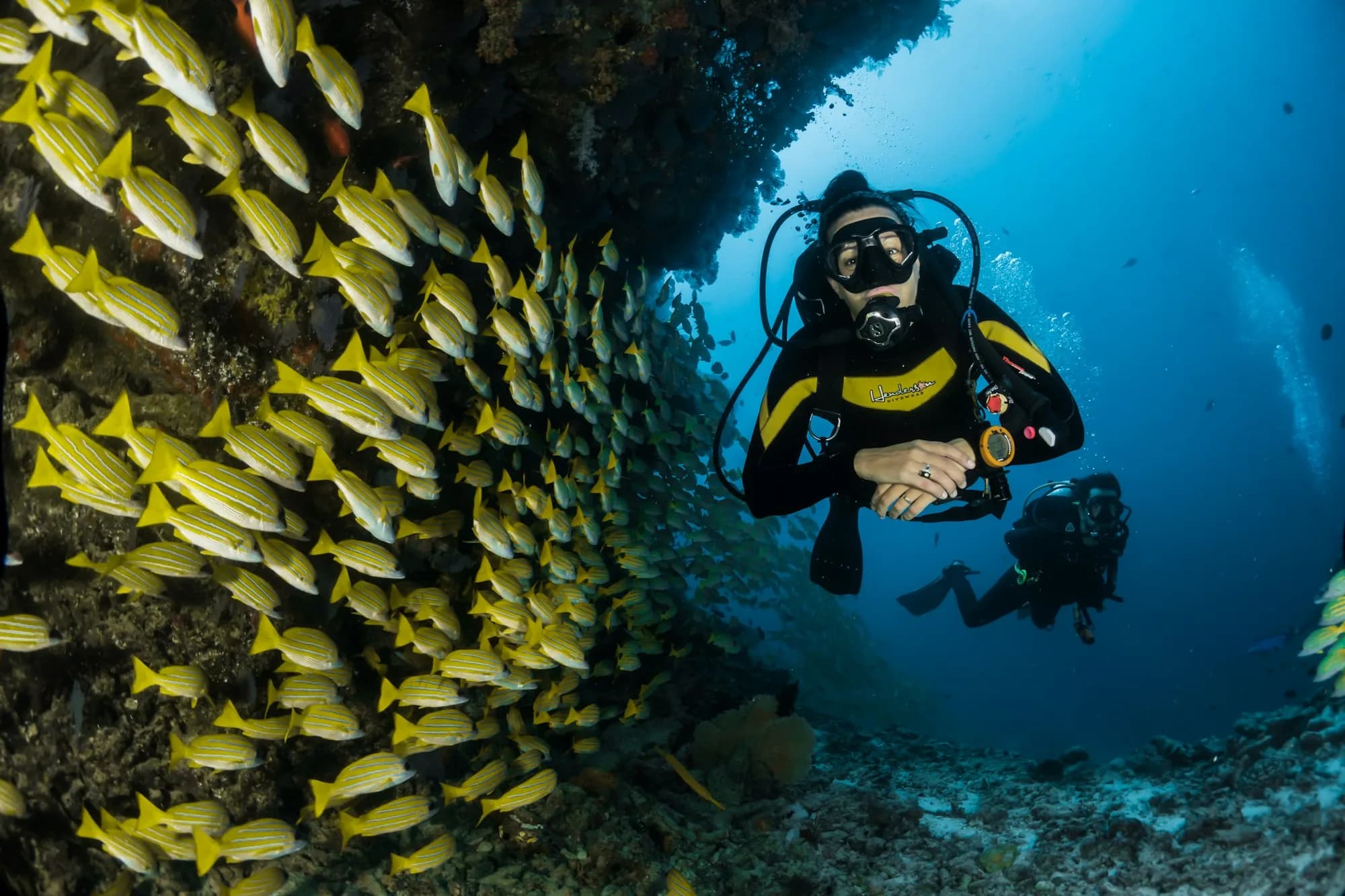 Scuba diver swimming along a coral reef wall
