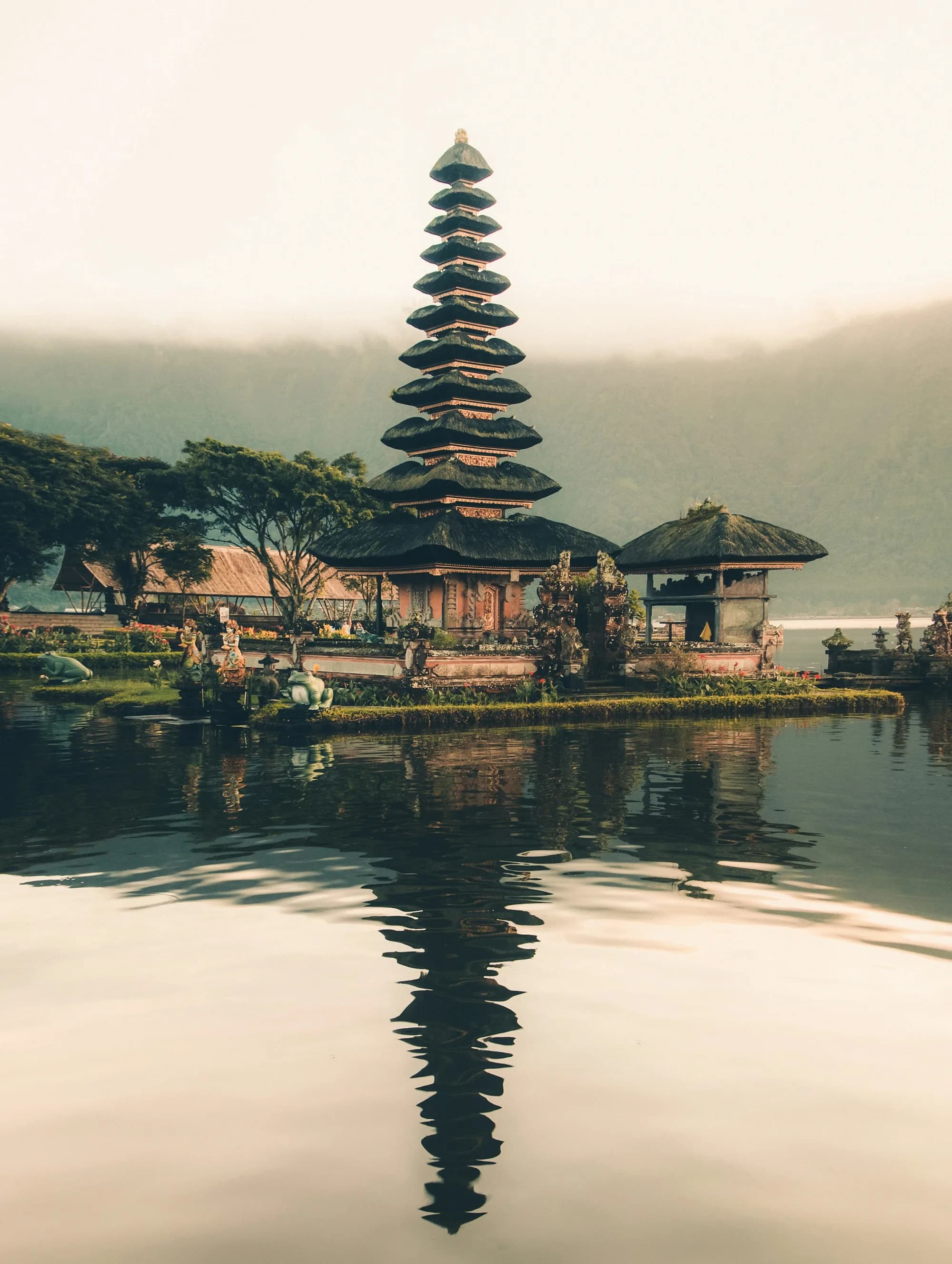 Terraced rice fields glowing green in the highlands of Bali