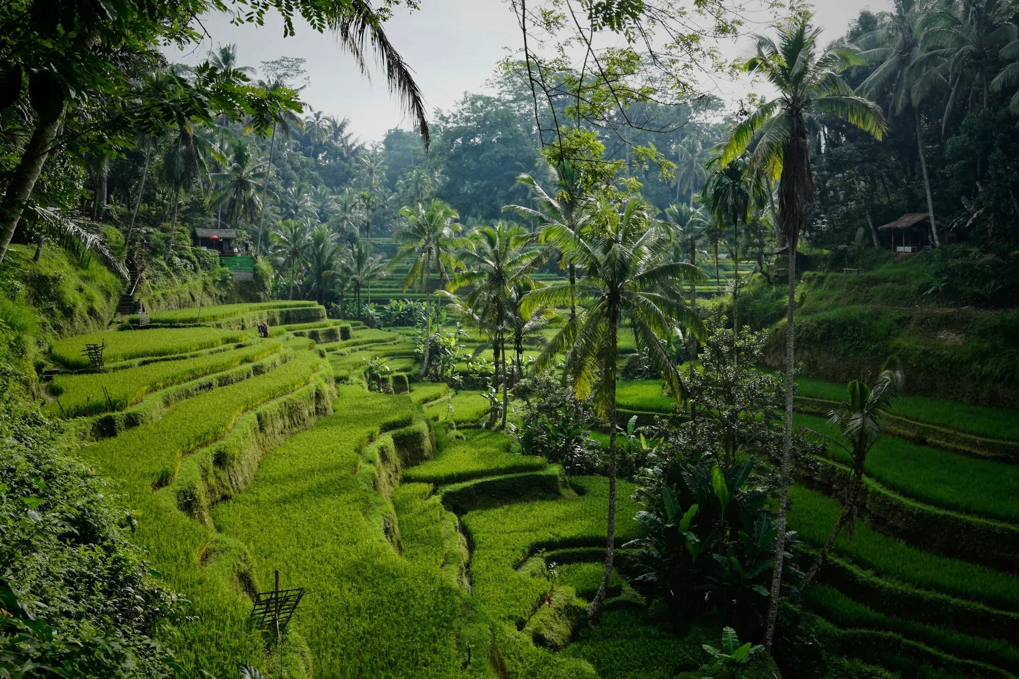 Empty bay and green headlands on an Indonesian island coast